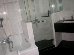 The Equatorial (D10), Condominium #599723911